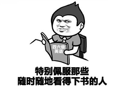 StoryView - 电脑端本地小说阅读器-夜雨聆风