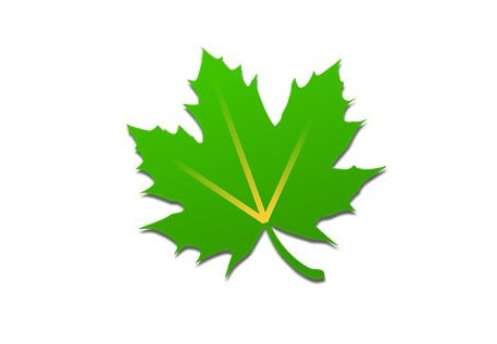 绿色守护直装捐赠版-夜雨聆风